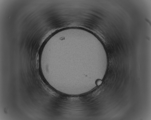 X0000093111126200710171217