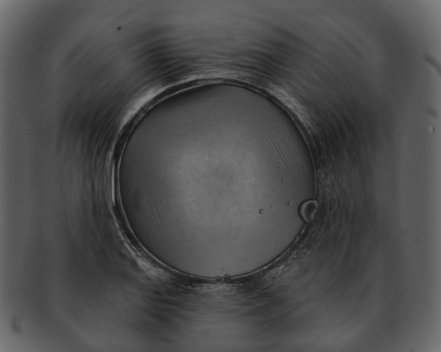 X0000093111127200710171217