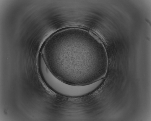 X0000093111128200710171217