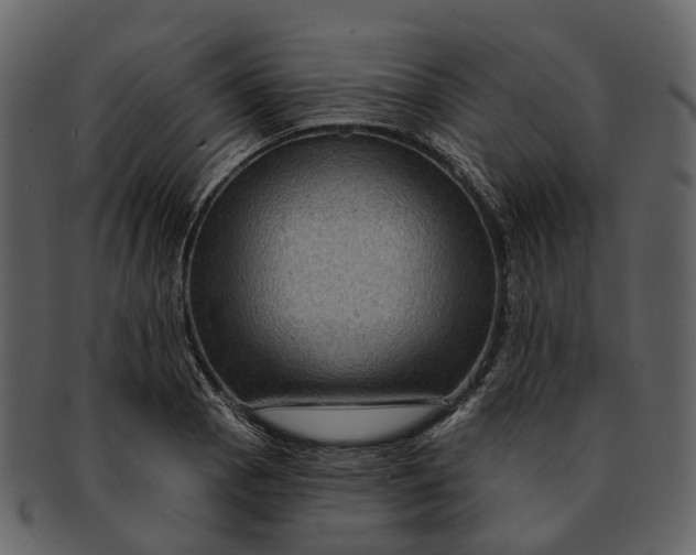 X0000093111129200710171217