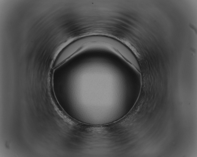 X0000093111134200710171217