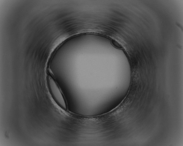 X0000093111135200710171217