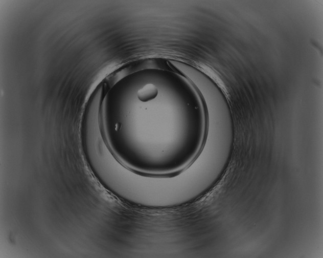 X0000093111138200710171217