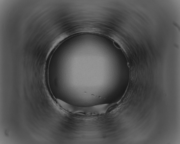 X0000093111139200710171217