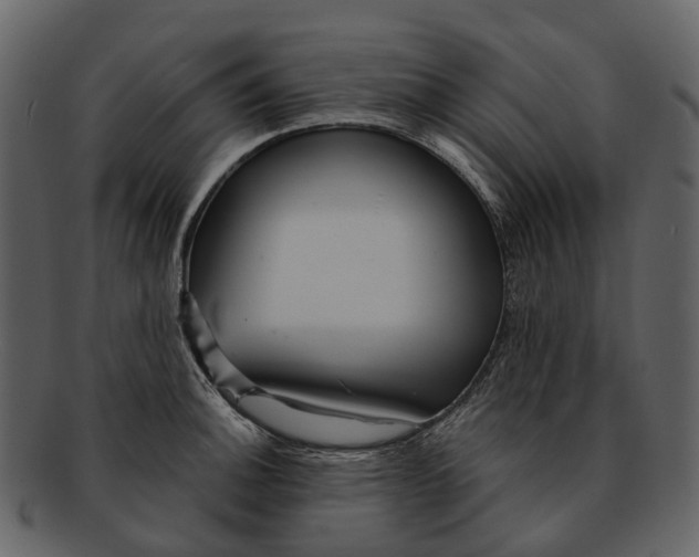 X0000093111140200710171217