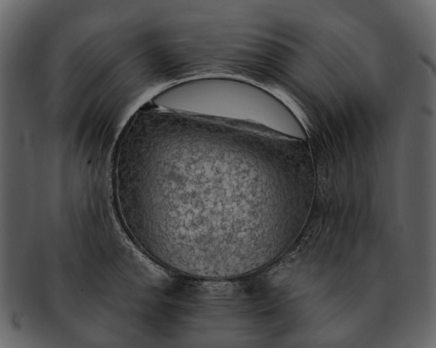 X0000093111142200710171217