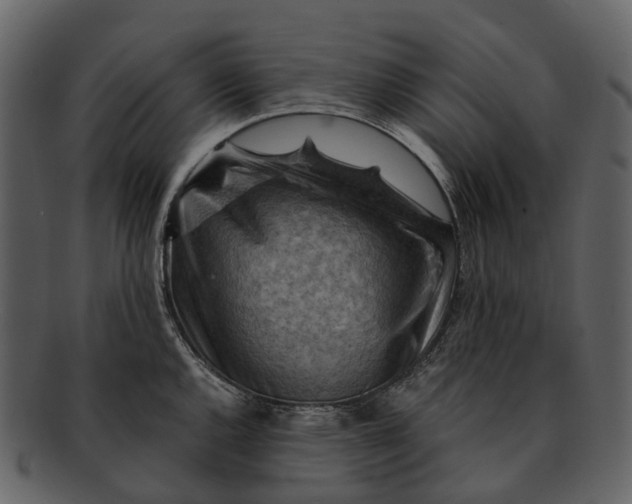 X0000093111144200710171217