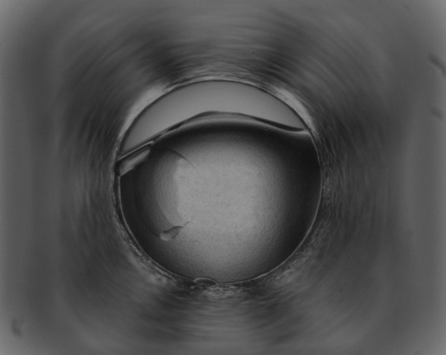 X0000093111146200710171217