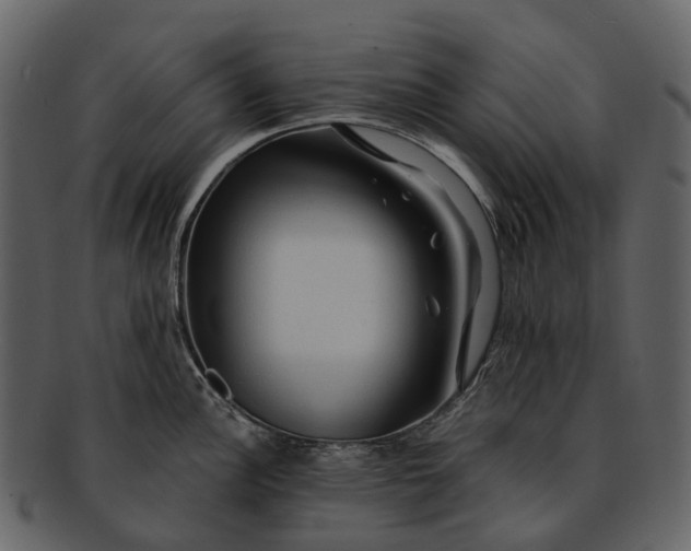 X0000093111148200710171217