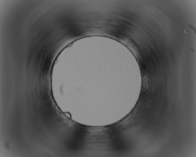 X0000093111150200710171217