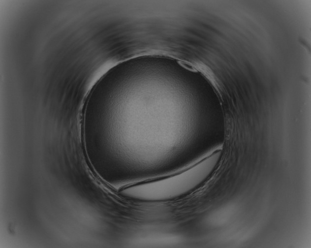 X0000093111151200710171217