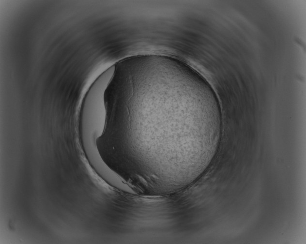 X0000093111152200710171217