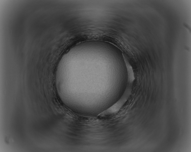 X0000093111153200710171217