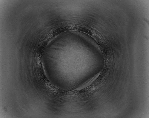 X0000093111154200710171216