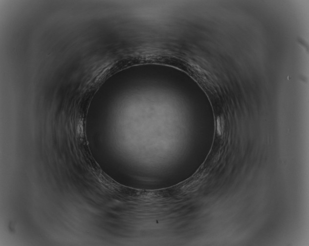 X0000093111155200710171216