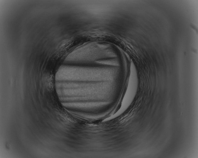 X0000093111156200710171216