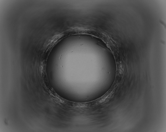 X0000093111157200710171216