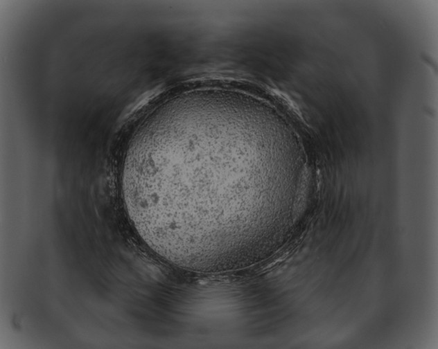 X0000093111159200710171216