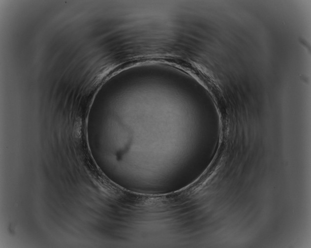 X0000093111161200710171216