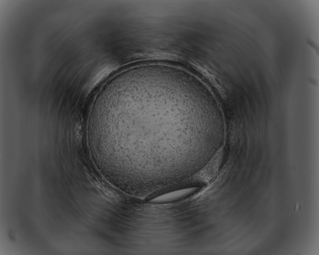 X0000093111163200710171216