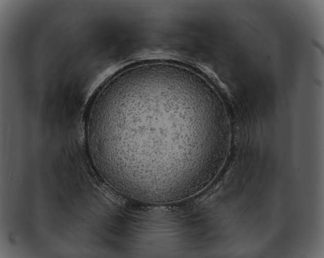 X0000093111167200710171216