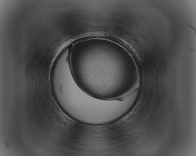 X0000093111168200710171216