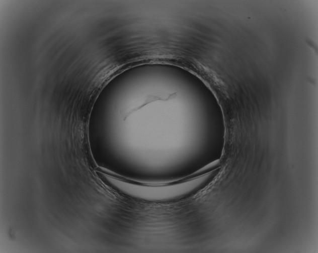 X0000093111169200710171216