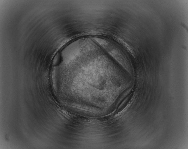 X0000093111170200710171216