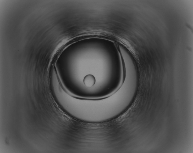 X0000093111172200710171216