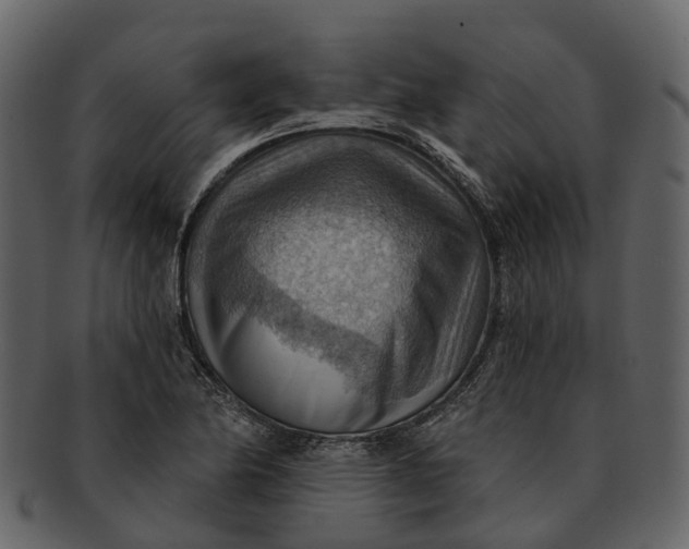 X0000093111174200710171216