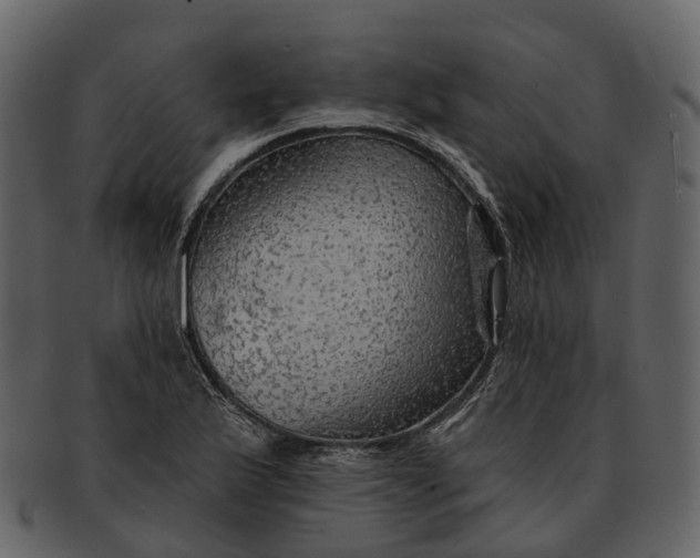 X0000093111175200710171216