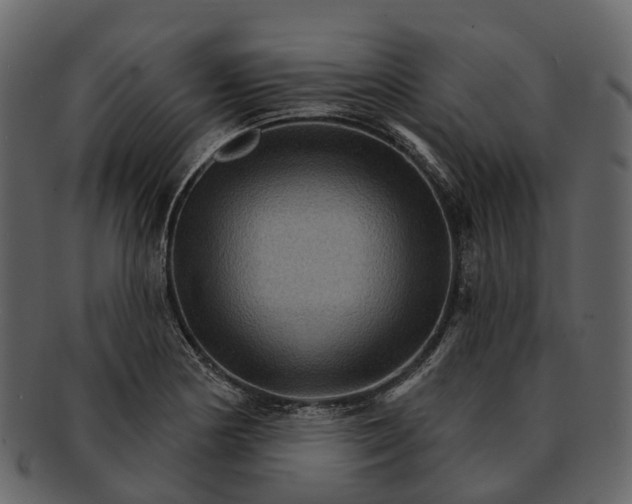 X0000093111178200710171216