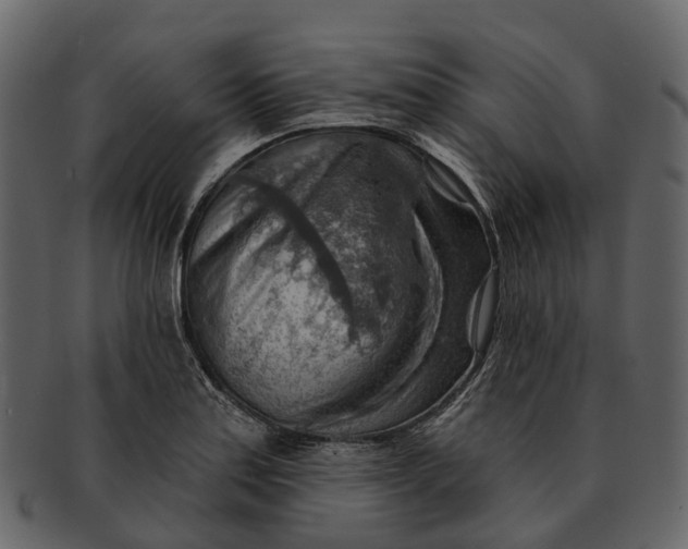 X0000093111179200710171216