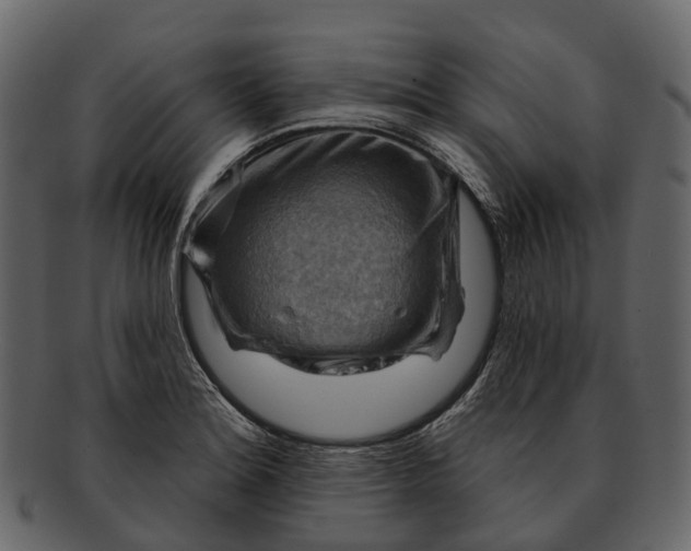 X0000093111180200710171216