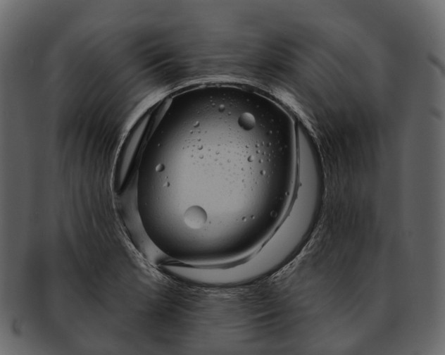 X0000093111181200710171216