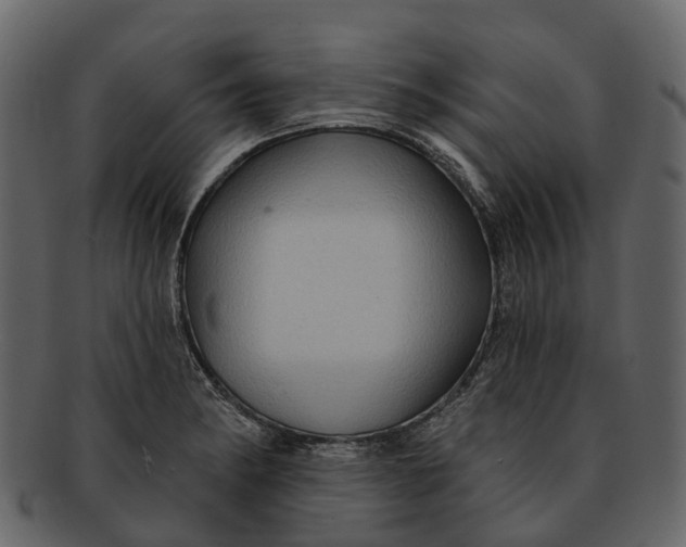 X0000093111182200710171216