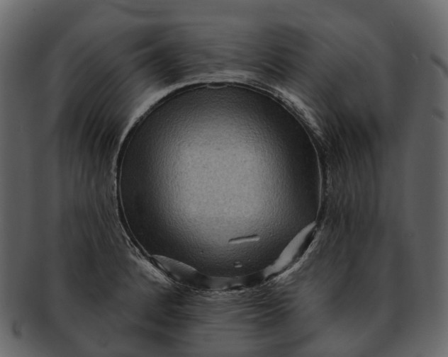 X0000093111184200710171216