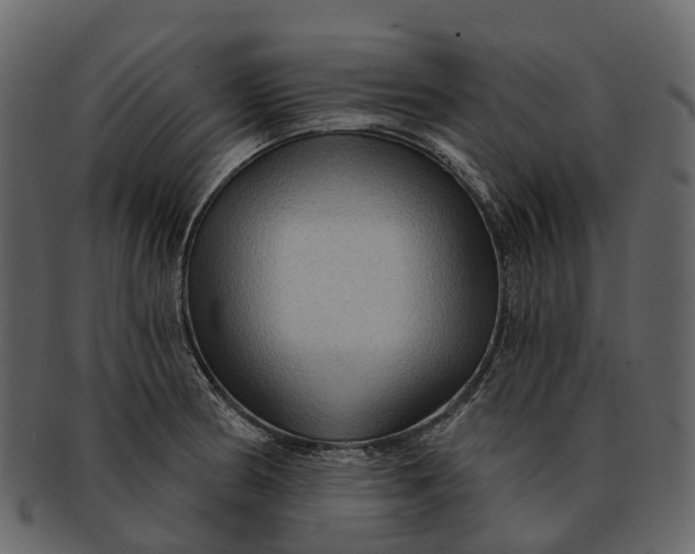 X0000093111186200710171216