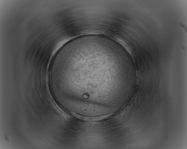 X0000093111187200710171216