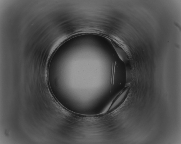 X0000093111188200710171216