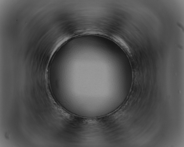 X0000093111190200710171216