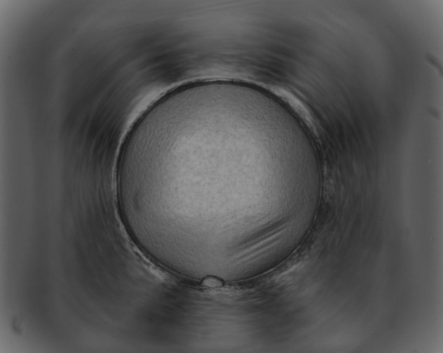 X0000093111191200710171216