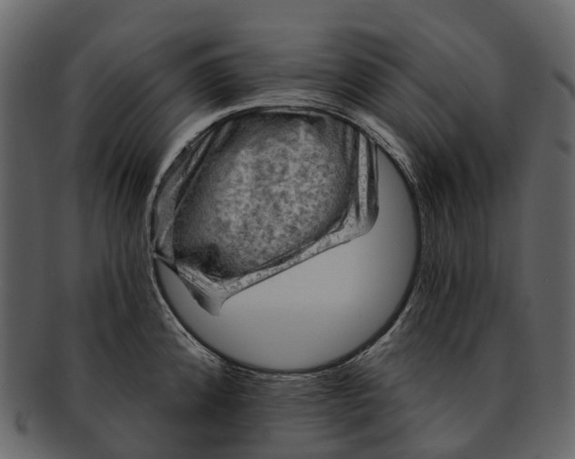 X0000093111192200710171216