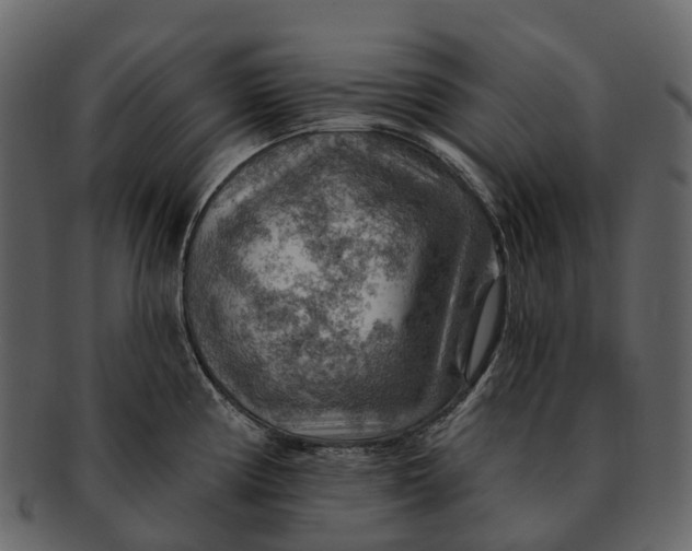 X0000093111194200710171216