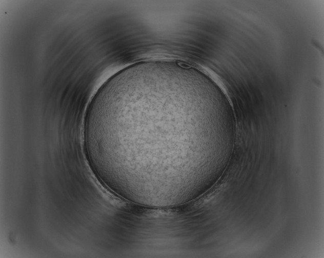 X0000093111195200710171216