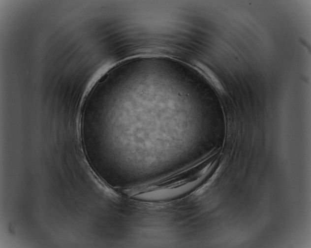 X0000093111196200710171216