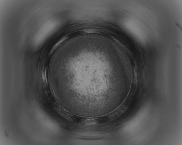 X0000093111198200710171216