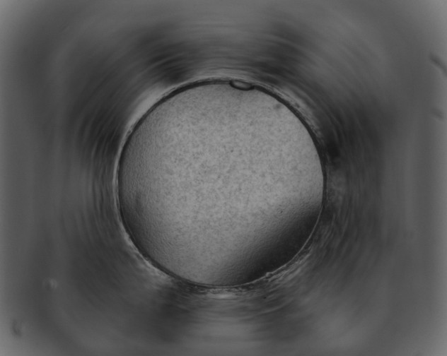 X0000093111199200710171216