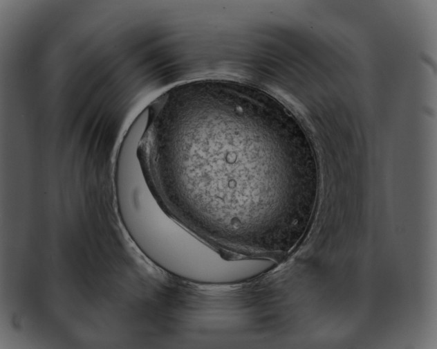 X0000093111200200710171216