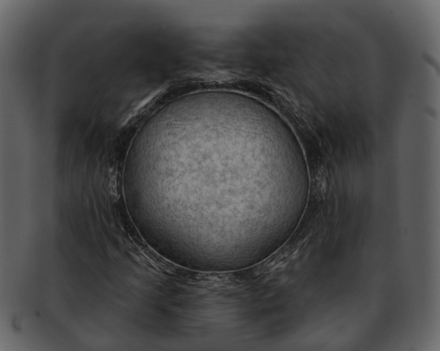 X0000093111205200710171215